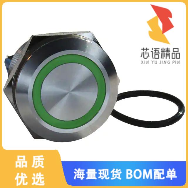 全新DH251NBSG24原装(ILLUMINATED, IP67 ANTI-VANDA