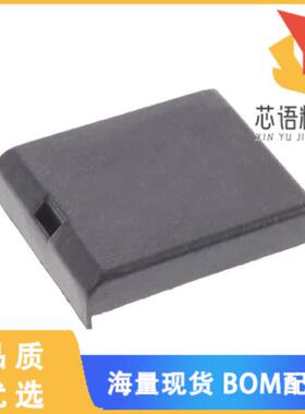 全新DS9034PC+原装(PCM W/O CRYSTAL NV SRAM SNAP-O