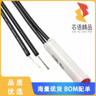 RED 120V 全新2110A1原装 正品 NEON MNT LAMP