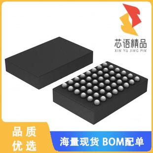 全新B250W48A106E1G原装(IC DSP AUDIO 16BIT 48WLCS