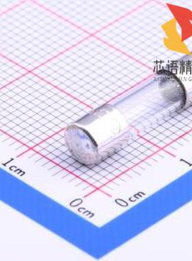 全新0218.100MXP原装(100mA 250V 延时型)正品