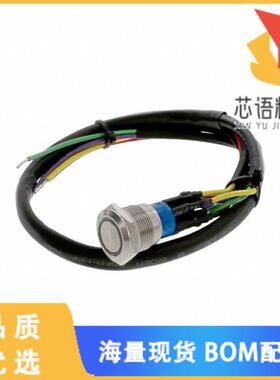 全新AV1920RG12T5Q04原装(SWITCH PUSHBUTTON DPDT 3