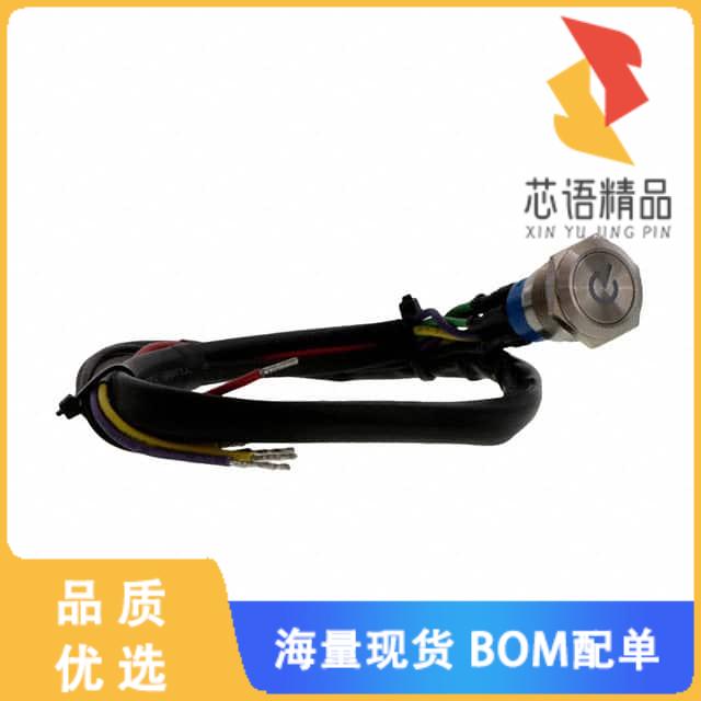 全新AV1920PG12T5Q04原装(SWITCH PUSHBUTTON DPDT 3