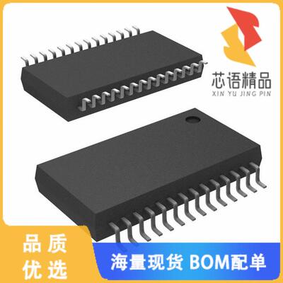 全新PGA2500IDBR原装(IC AMP CLASS AB MONO 28SSOP)正品