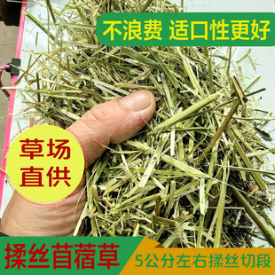 25年新苜蓿草揉丝草段干草喂牛马吃的草料羊羊驼草料养殖兔草饲料
