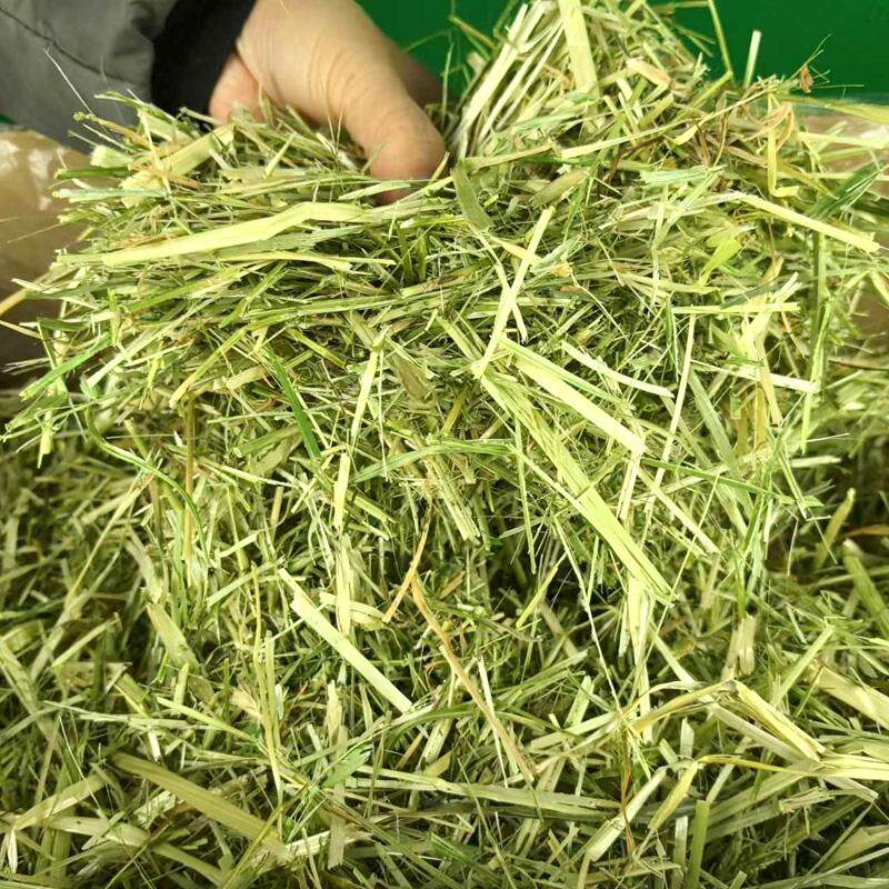 24年新苜蓿草揉丝草段干草