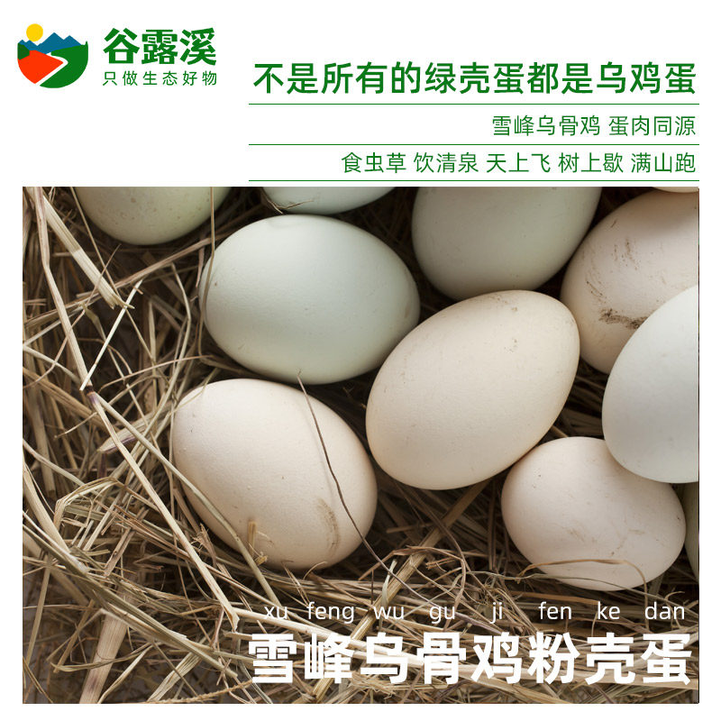 武陵山高山雪峰乌鸡蛋自然生态含硒农家散养土鸡蛋月正宗草鸡蛋
