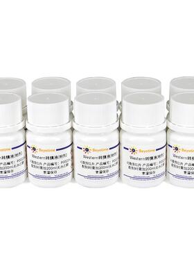 P0021B Western转膜液 粉剂 10×1L 碧云天