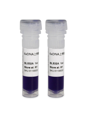 Biosharp BL532A DNA上样缓冲液6X DNA loading buffer 2*1ml/套