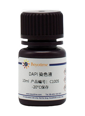 DAPI染色液 即用型 C1006 C1005 生物