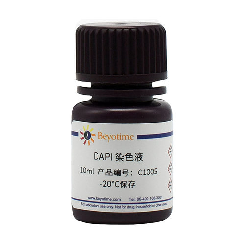 DAPI染色液 即用型 C1006 C1005 生物
