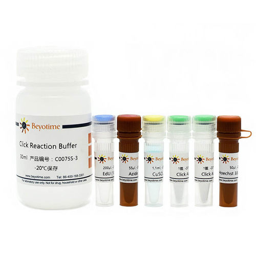 C0075S BeyoClick EdU-555细胞增殖检测试剂盒C0075L 碧云天生物
