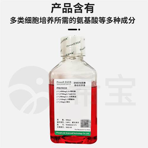 DMEM高糖培养基含FBS双抗PS/HEPES完全细胞培养溶液