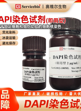 赛维尔 DAPI染色试剂（即用型） 细胞核染色 细胞实验