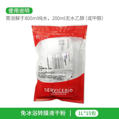 免冰浴快速转膜缓冲液转印液粉末即用型水剂 WB湿转无需冰袋G2028