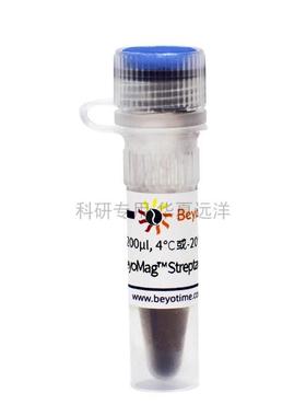 P2151-1ml BeyoMag Streptavidin Magnetic Beads 链霉亲和素磁
