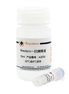 AF5225-50μl LC3B Rabbit Polyclonal Antibody (KO Validated)