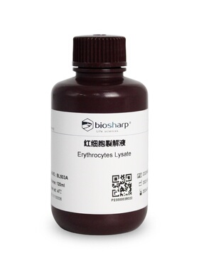 BL503A 红细胞裂解液 120ml Biosharp/白鲨