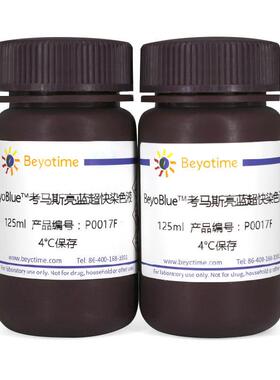 P0017F-250ml BeyoBlue™考马斯亮蓝超快染色液