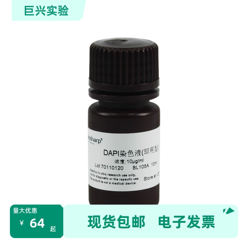 BL105A DAPI溶液(即用型)10ug/ml Biosharp/白鲨 10ml