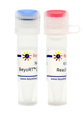 BeyoRT™ Q M-MLV反转录酶 逆转录酶 D7188S D7188M D7188L