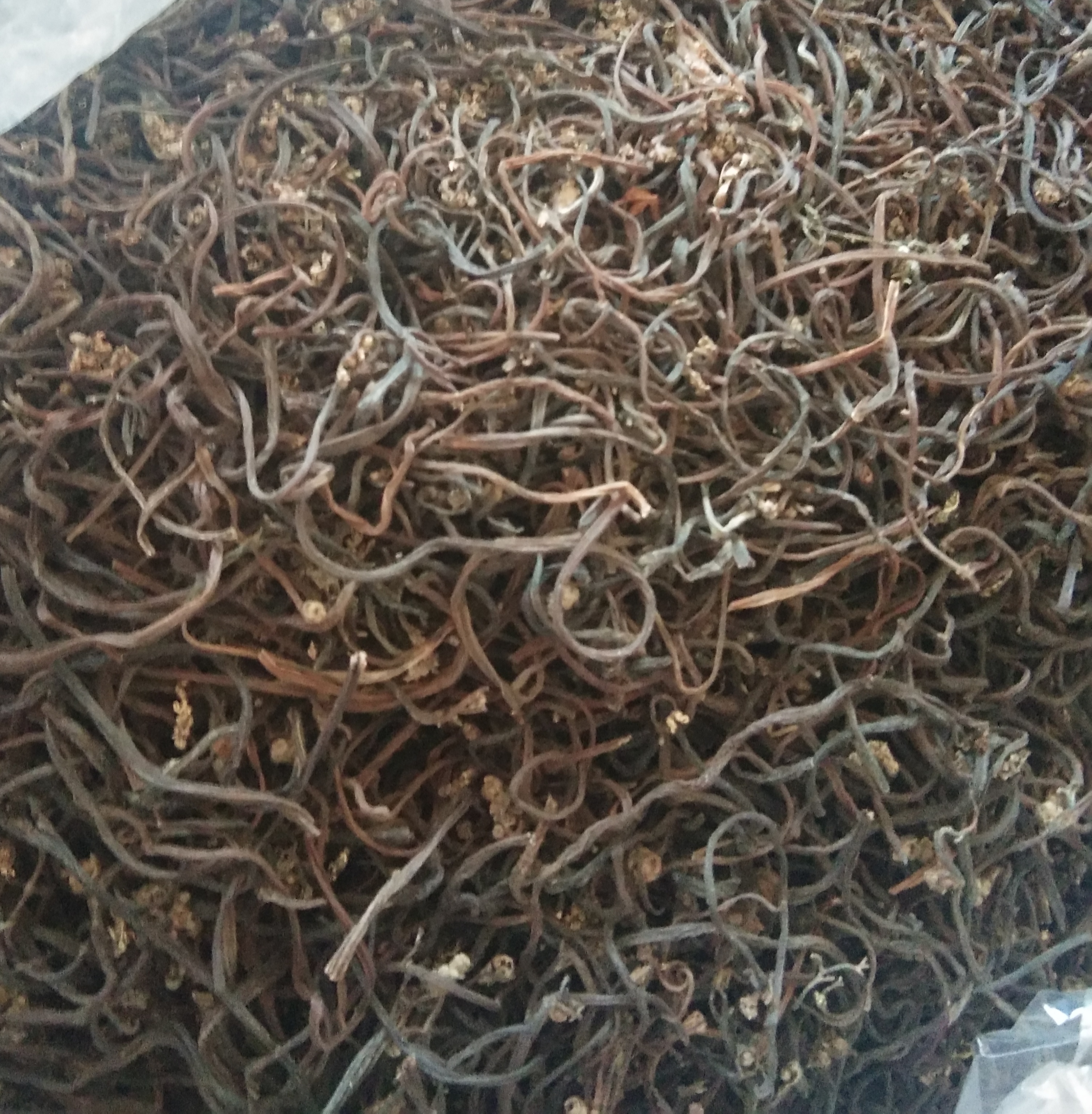 正宗东北蕨菜干野生优质精长白山干蕨菜干货山珍天然包邮特价优惠