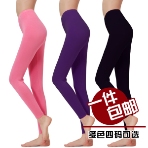 莫代尔纯棉女士单件秋裤女衬裤薄款紧身打底裤保暖加大码女款线裤