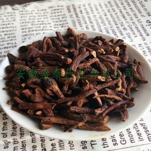 蒲公英根茶野生 500g 天然吉林长白山炒制婆婆丁包邮散装带根