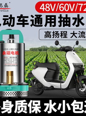 48v60v72v电动车抽水泵通用电瓶车专用直流潜水泵浇菜农用灌溉机