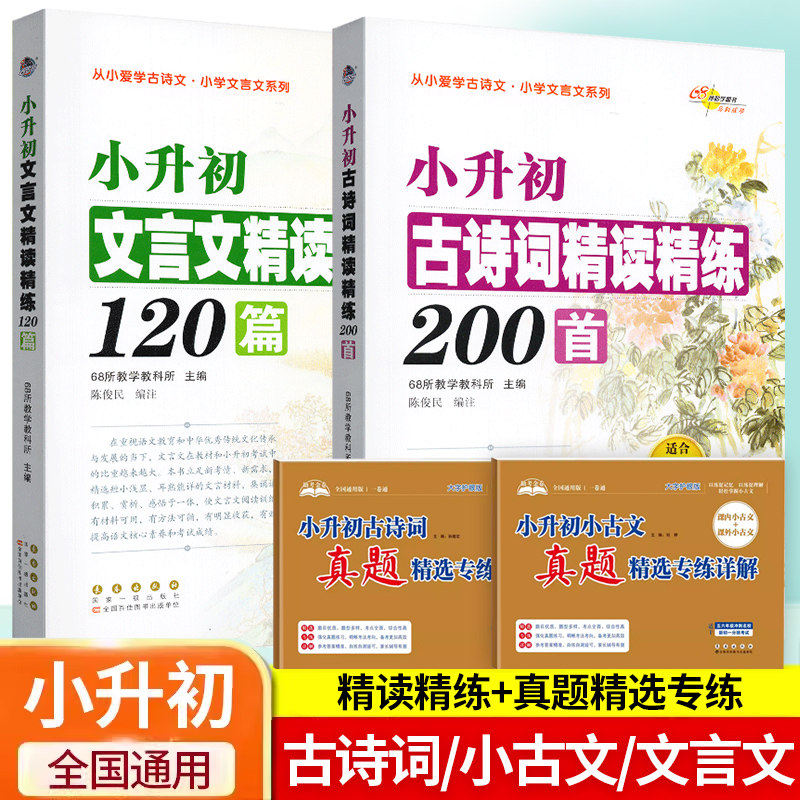 小升初古诗词文言文精读精练图片