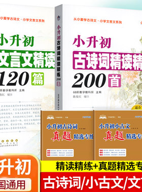 小升初古诗词文言文精读精练