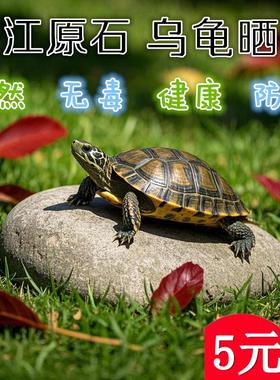 天然乌龟晒台石爬台扁鹅卵石晒背休息鱼缸造景装饰养龟专用溪流石
