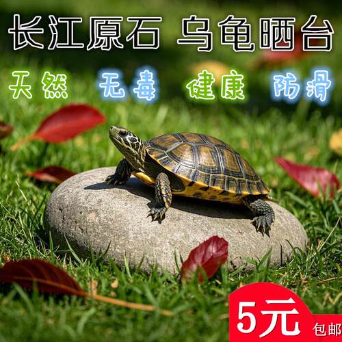 天然乌龟石头晒台鹅卵石
