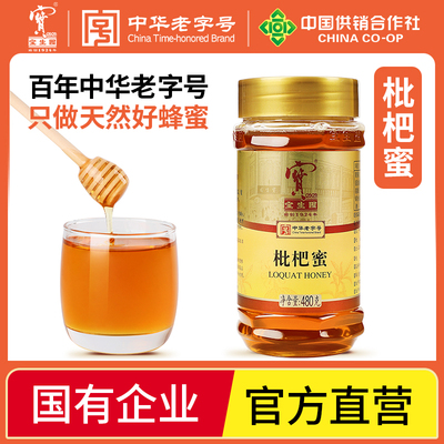 宝生园蜂蜜蜜糖枇杷蜜冬蜜礼盒装