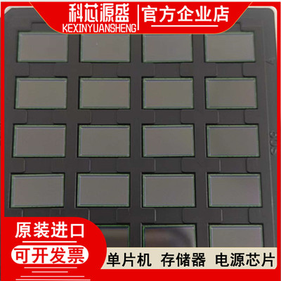SC450AI-CS1NN00微型控制器