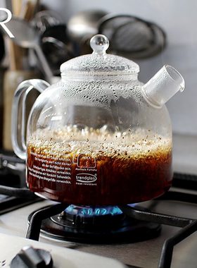 德国Trendglas Jena直火煮耐高温玻璃壶烧水壶水果泡茶壶花茶过滤