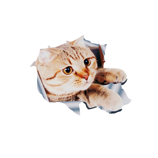 3D立体车贴可爱卡通逼真猫咪网红反光玻璃贴纸车身遮划痕遮挡贴