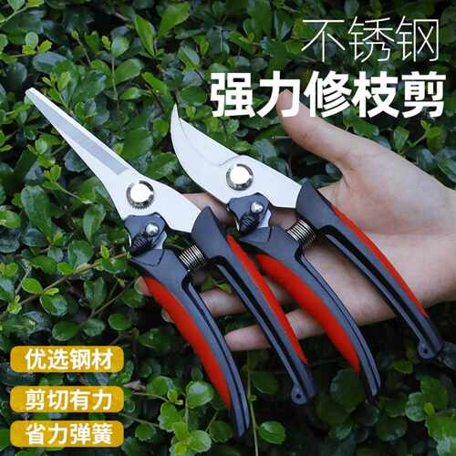 不锈钢修枝剪刀强力园艺工具剪