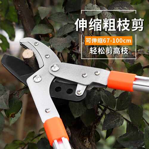 伸缩粗枝剪新款剪树枝专用剪刀