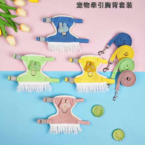 新款猫咪牵引绳背心式泰迪比熊