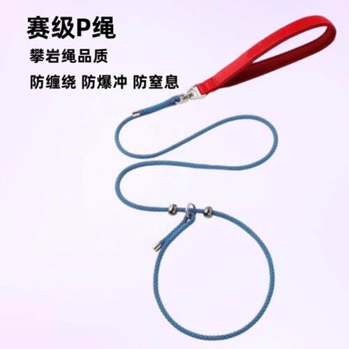p链绳狗狗牵引绳遛狗链子小