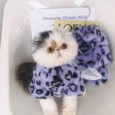 秋冬款紫猫咪服色豹纹蓝毛绒卫衣布偶猫猫幼猫宠物加绒3072棉衣衣