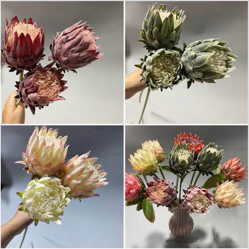 植绒帝王花 南非公 花针垫霸2025.6.1王花档主家居仿真花枝酒店大