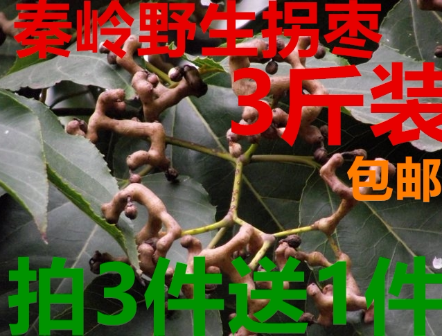 农家拐枣枳椇子鸡爪梨食用万寿果