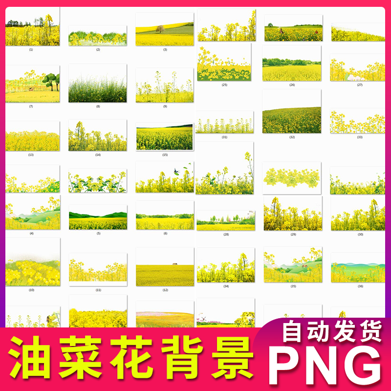 油菜花背景海报装饰边框素材图片 png透明背景不用抠图