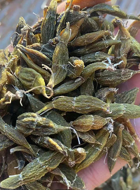 炖汤煮水养生红朱葡萄干红珠虫斛