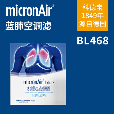 科德宝蓝肺空调滤芯BL468配秦EV驱逐舰秦L秦PLUS DM-i宋MAX小鹏P5