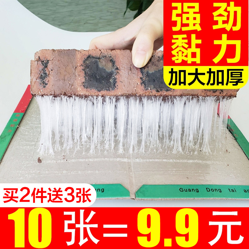 泰安康强力粘鼠板家用