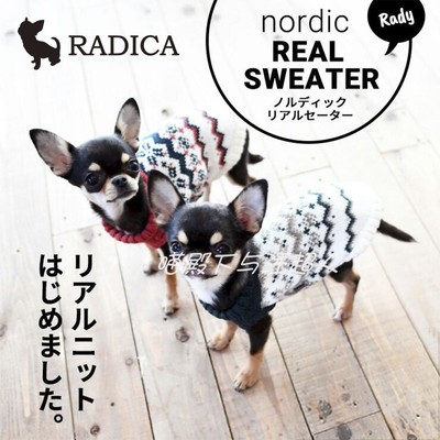 日本毛衣贵宾柴犬法斗