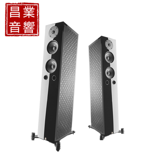 原装 进口家用音响 落地音箱 意大利金乐Gold 发烧HIFI Note